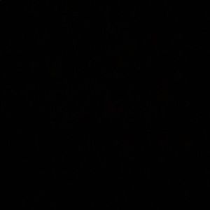 Meet your Posher, Elayne